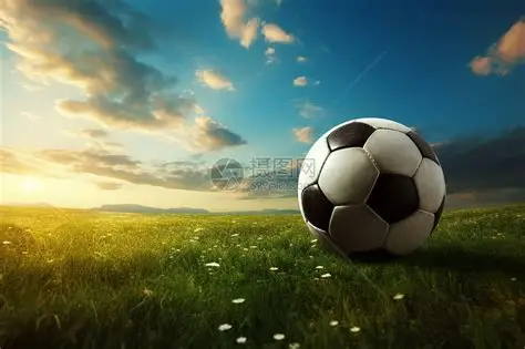 米兰体育·「中国」官方网站- Milan